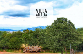 Гостиница Apartments Amalia  Лабин